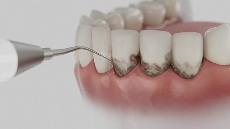 Reliable Dental contractor in Kingstree, SC by Dentist Open Now